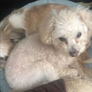 Meet your Posher, Rhonda